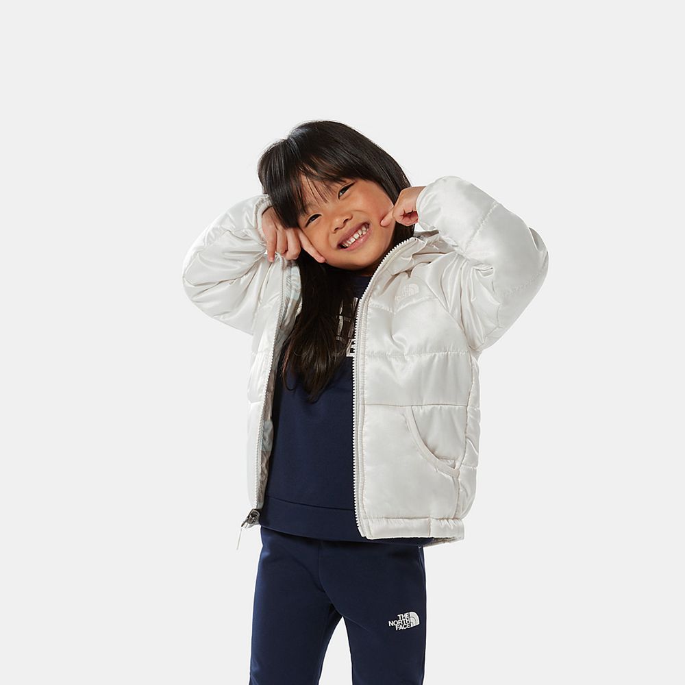 The North Face Waterproof Jackets Toddler Australia - The North Face Toddler Reversible Perrito Whit